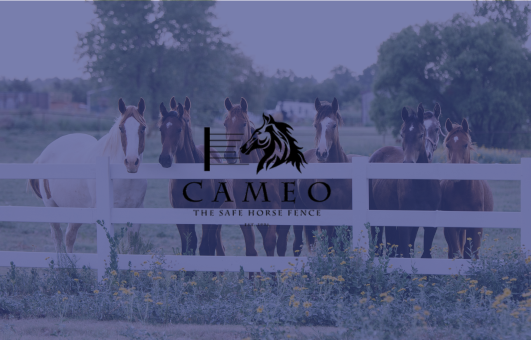 Cameo
