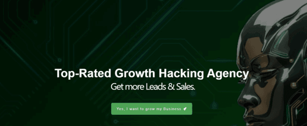 Growth Hackers